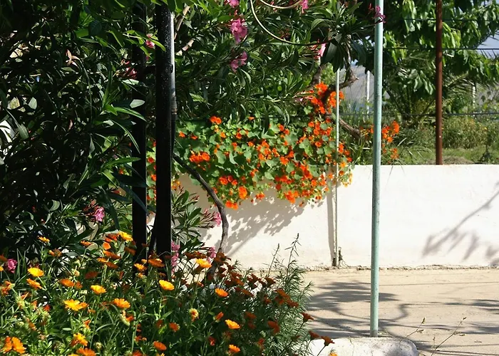 Family Friendly Seaside Vlasici, Pag - 4131 Apartman Vlašići